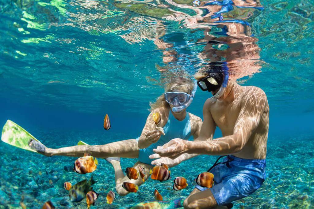 snorkel Turks and Caicos