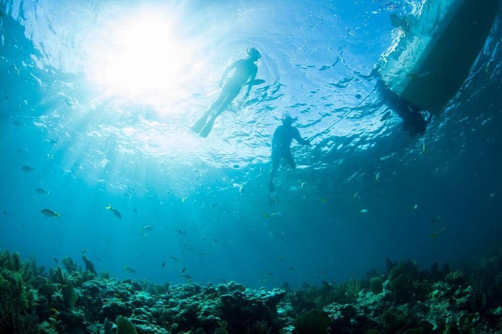snorkeling Florida Keys